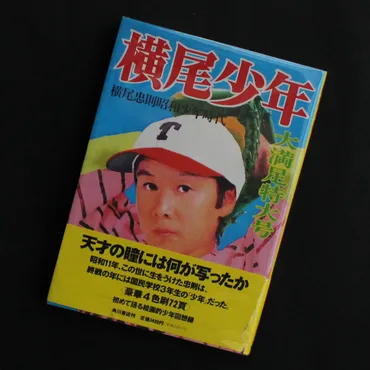 横尾忠則の世界観とは？幼少期の記憶から画家転身、表現の拡大まで(？)横尾忠則の多岐にわたる表現活動：グラフィックデザインから画家へ