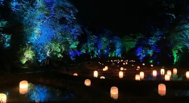 チームラボ 幽谷隠田跡とは？自然とアートが融合した没入体験の魅力とは？チームラボ 幽谷隠田跡：五浦の森に現れたデジタルアート