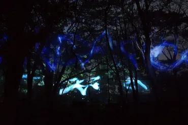 源泉掛け流し&グランピング「五浦 幽谷隠田跡温泉」と夜の森のミュージアム「チームラボ 幽谷隠田跡」が北茨城市五浦にオープン!