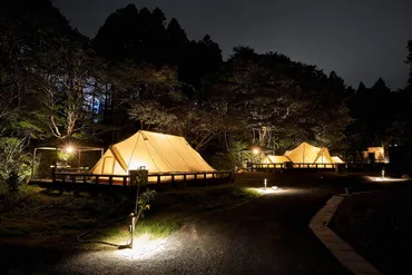 チームラボ 幽谷隠田跡」茨城・五浦に゛夜の森゛と一体化する光のアート、温泉＆グランピング施設も開業 