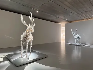 芽吹く生命をアートで体感 ─ ポーラ美術館 「SPRING わきあがる鼓動」