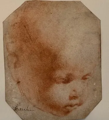 ダビンチの天才の秘密に遺伝子レベルで迫る――作品に隠された手がかりとは(1/2) 