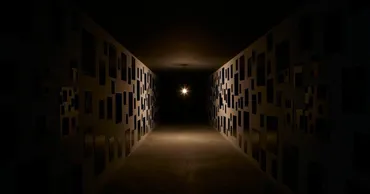 心臓音のアーカイブ:世界中の人の心臓音を聴くことができる「図書館」