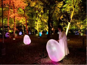 長居植物園をもっと楽しむ！年間パスポートとお得な情報とは？年間パスポートと入園方法変更のお知らせ