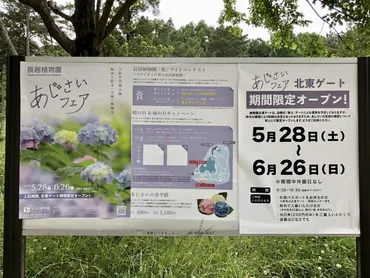 大阪市東住吉区】長居植物園 期間限定の北東ゲートからの入園がおすすめです。すぐに壮大な景色が広がります!