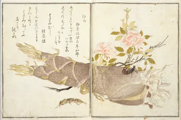 喜多川歌麿の生涯と作品：美人画の巨匠、その魅力とは？歌麿、美人画への道：才能開花から、蔦屋重三郎との出会い。