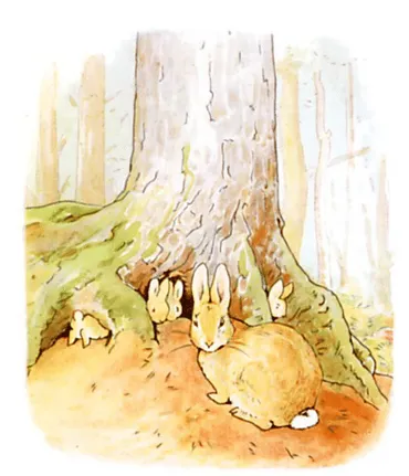 新訳「ピーターラビットのおはなし」1ページずつ深堀りする①：1 ...