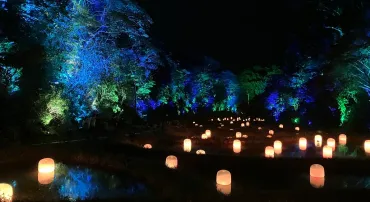 チームラボ 幽谷隠田跡」（茨城・五浦）がオープン。棚田跡が作品になった、夜の森のミュージアム