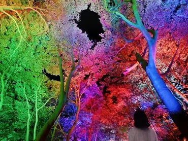 北茨城市・五浦にOPEN！『チームラボ 幽谷隠田跡』