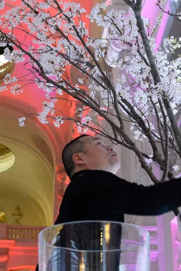ルーブル王宮に咲いた桜700本 日本の花職人の技 