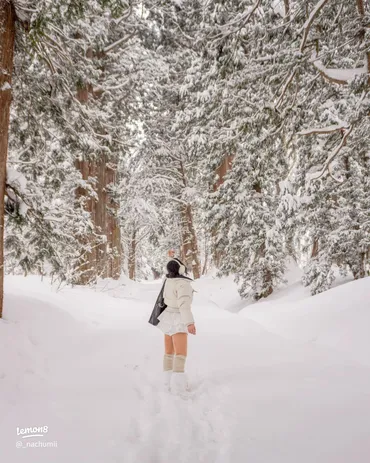 冬の戸隠神社を満喫するならこれ！安全なアクセスと神聖な参道歩き、絶品戸隠そばの楽しみ方
