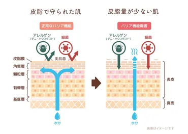自己回復力の低下で起こる肌の悩み 基本のスキンケア方法
