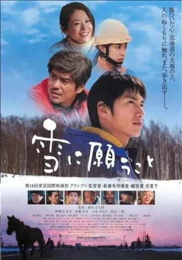 雪に願うこと : 作品情報 