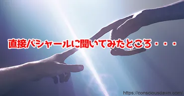 久々にバシャールにコンタクトし「ワクワク」について聞いてみた 