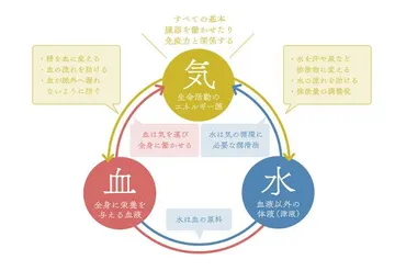 気滞」とは? 繊細でストレスに弱い人におすすめの漢方【漢方薬剤師が教える漢方のキホン】23