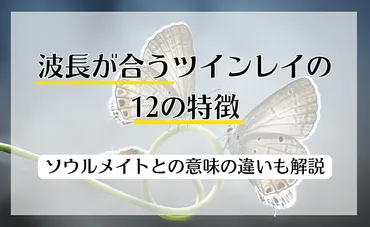 波長が合う人を見つける方法とは？出会いの法則を解き明かす!!